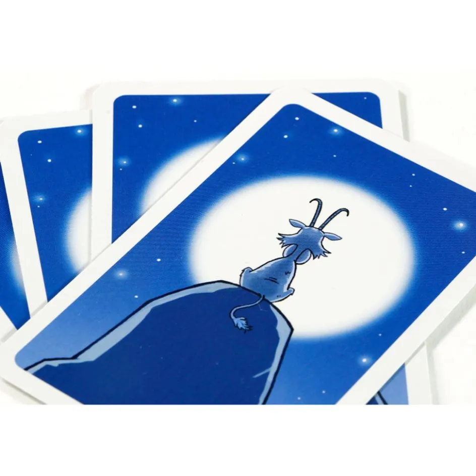 999 Games Buitenspelen & Spelletjes* Bokken Schieten kaartspel