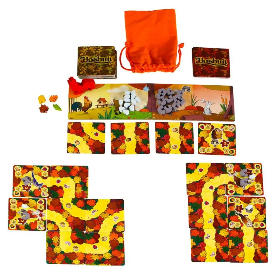 999 Games Buitenspelen & Spelletjes* Bosbuit bordspel