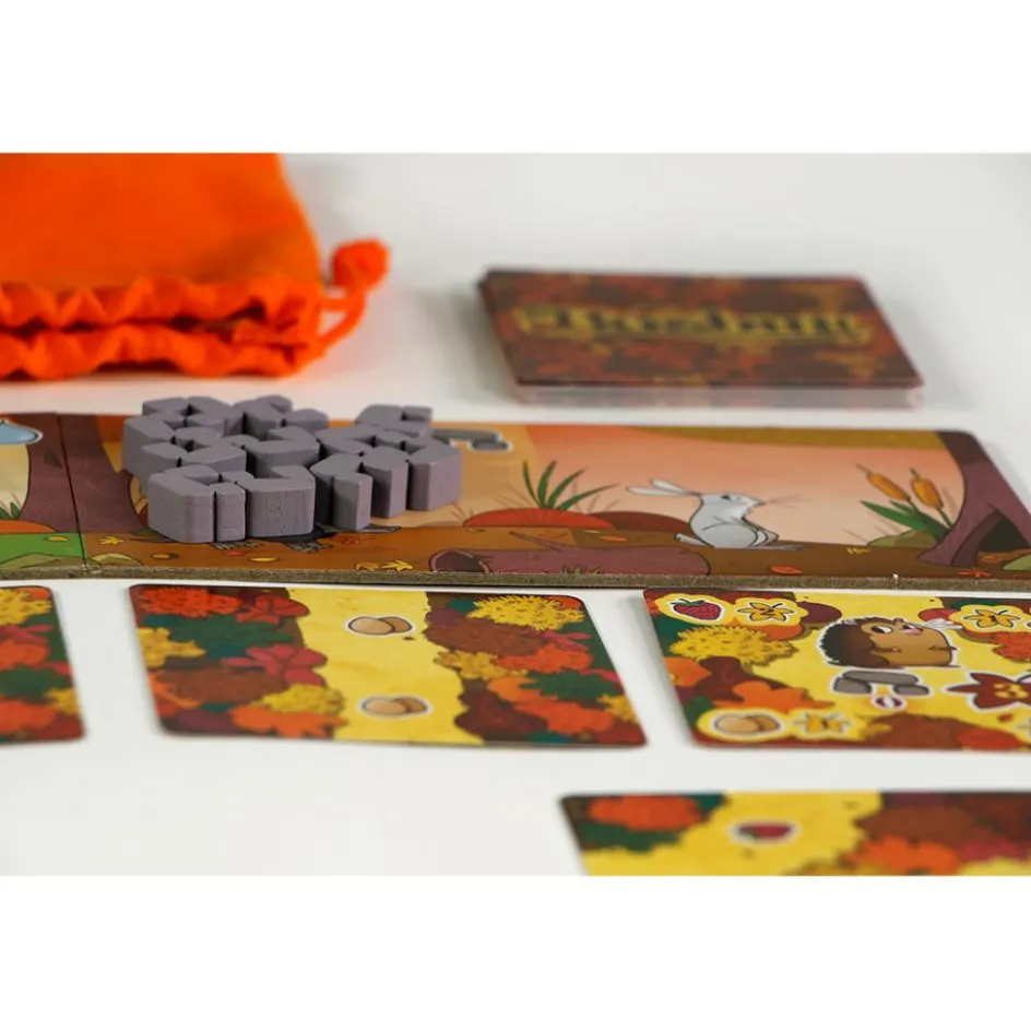 999 Games Buitenspelen & Spelletjes* Bosbuit bordspel