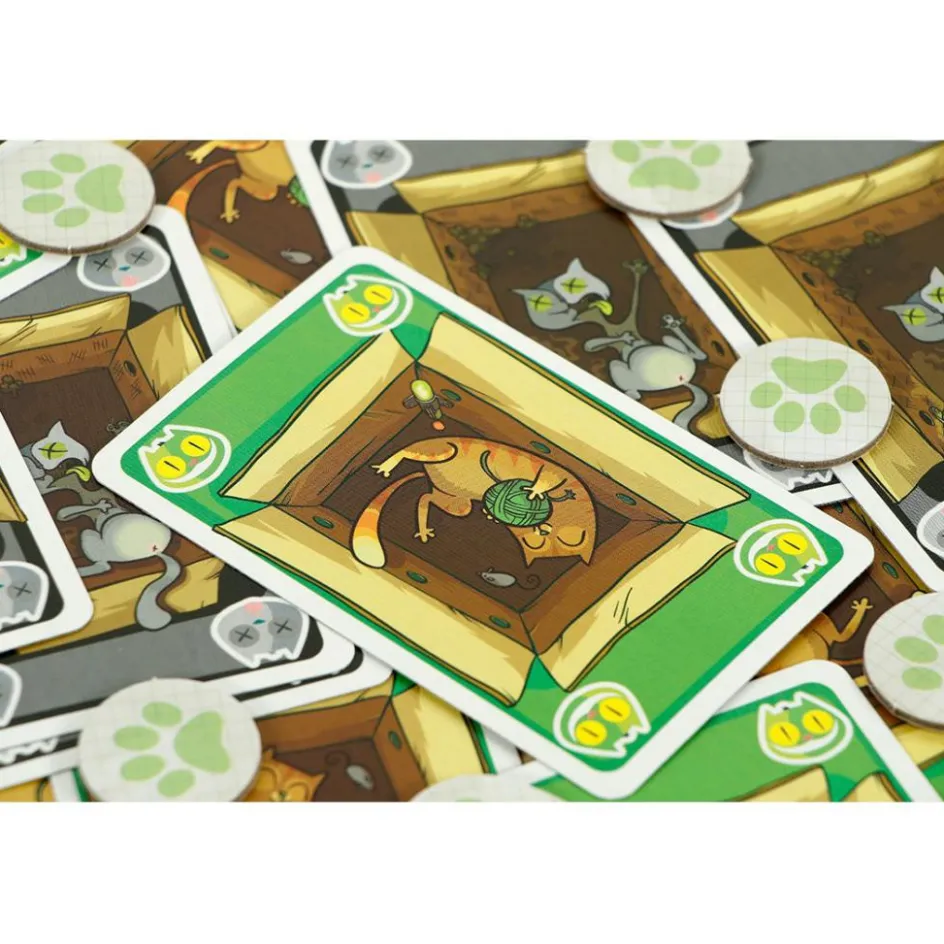 999 Games Buitenspelen & Spelletjes* Schrödinger's Katten kaartspel