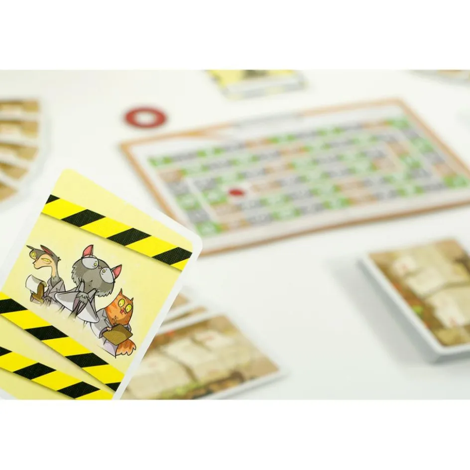 999 Games Buitenspelen & Spelletjes* Schrödinger's Katten kaartspel