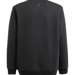 adidas Truien & Vesten*ALL SZN Graphic sweater junior black