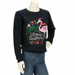 Apollo Truien & Vesten*X-Mas sweater dames assorti