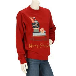 Apollo Truien & Vesten*X-Mas sweater dames assorti