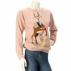 Apollo Truien & Vesten*X-Mas sweater dames assorti