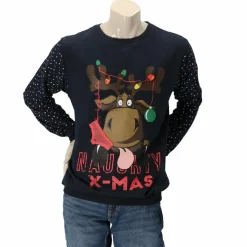 Apollo Truien & Vesten*X-Mas sweater heren assorti