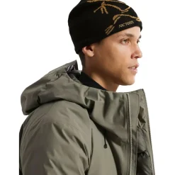 Arc'teryx Mutsen|Wintersport*Bird Head Toque muts 24k black