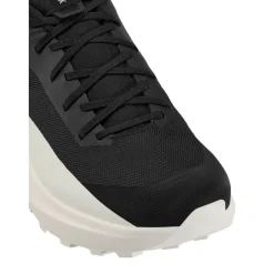 Arc'teryx Wandelen|Wandelschoenen*Norvan LD 4 wandelschoenen heren black arctic silk