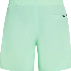 O'Neill Zwembroek*Vert 16 inch zwembroek heren mildrew mint
