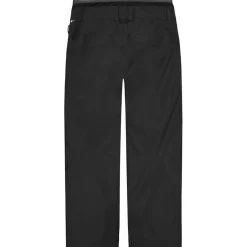 Picture Skibroeken|Wintersport*MPT0162 Object skibroek heren black