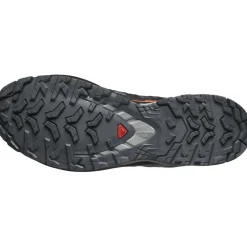 Salomon Hardloopschoenen*XA PRO 3D V9 GORE-TEX hardloopschoenen heren turbulence black burnt ochre