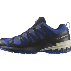 Salomon Wandelen|Wandelschoenen*XA PRO 3D V9 GORE-TEX wandelschoenen heren blue print surf the web lapis blue
