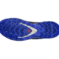 Salomon Wandelen|Wandelschoenen*XA PRO 3D V9 GORE-TEX wandelschoenen heren blue print surf the web lapis blue