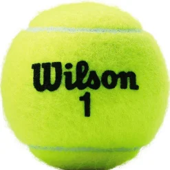 Wilson Tennisballen*Championship tennisballen