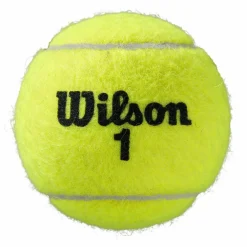 Wilson Tennisballen*Roland Garros All Court tennisballen 4-pack geel